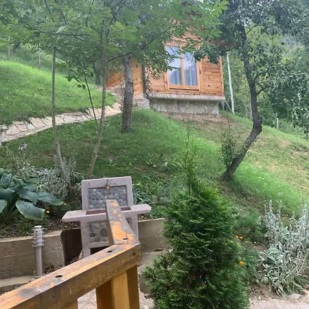 Affittacamere Panorama
