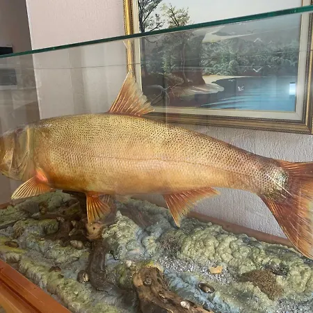 Panorama 3* Hrasno Donje